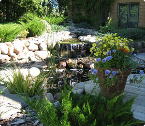 Water Landscape Design Service
